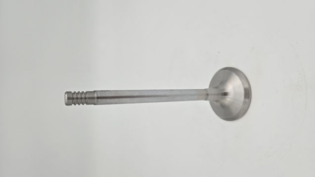 Liebherr 9ee75211-9aac-4c92-9afa-3b99564155d0202504997131461071-jpg